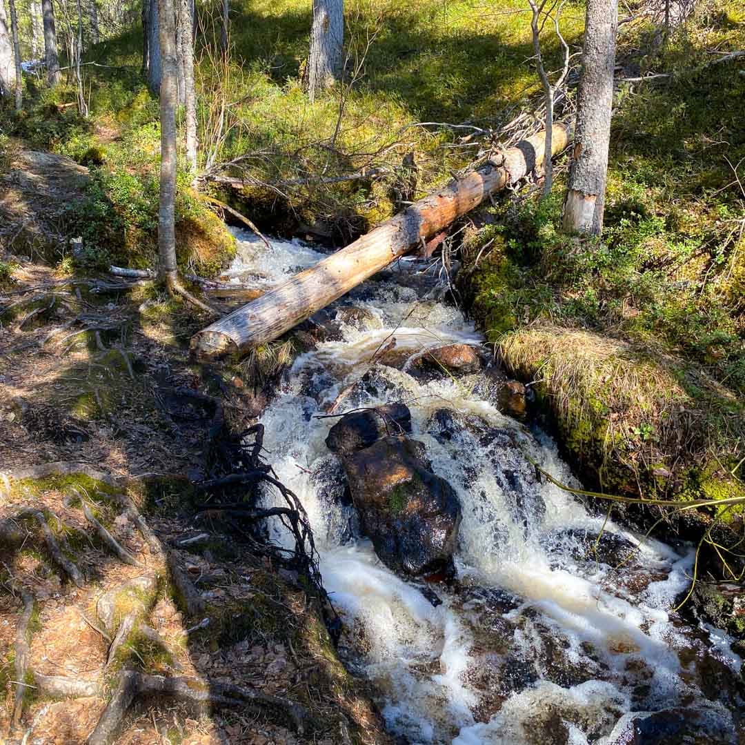 Drink the Tap Water in Rovaniemi