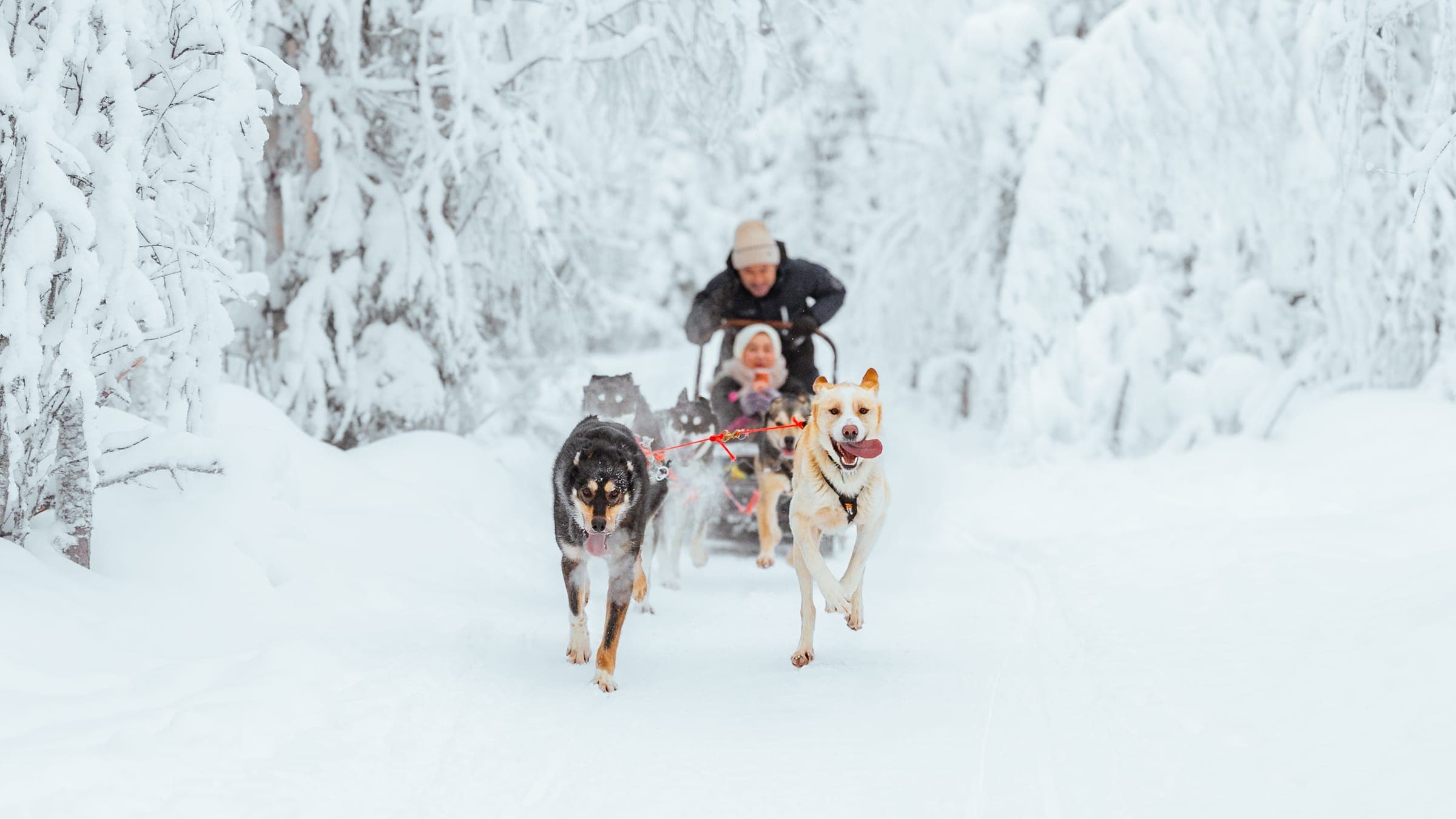 Februar in Rovaniemi