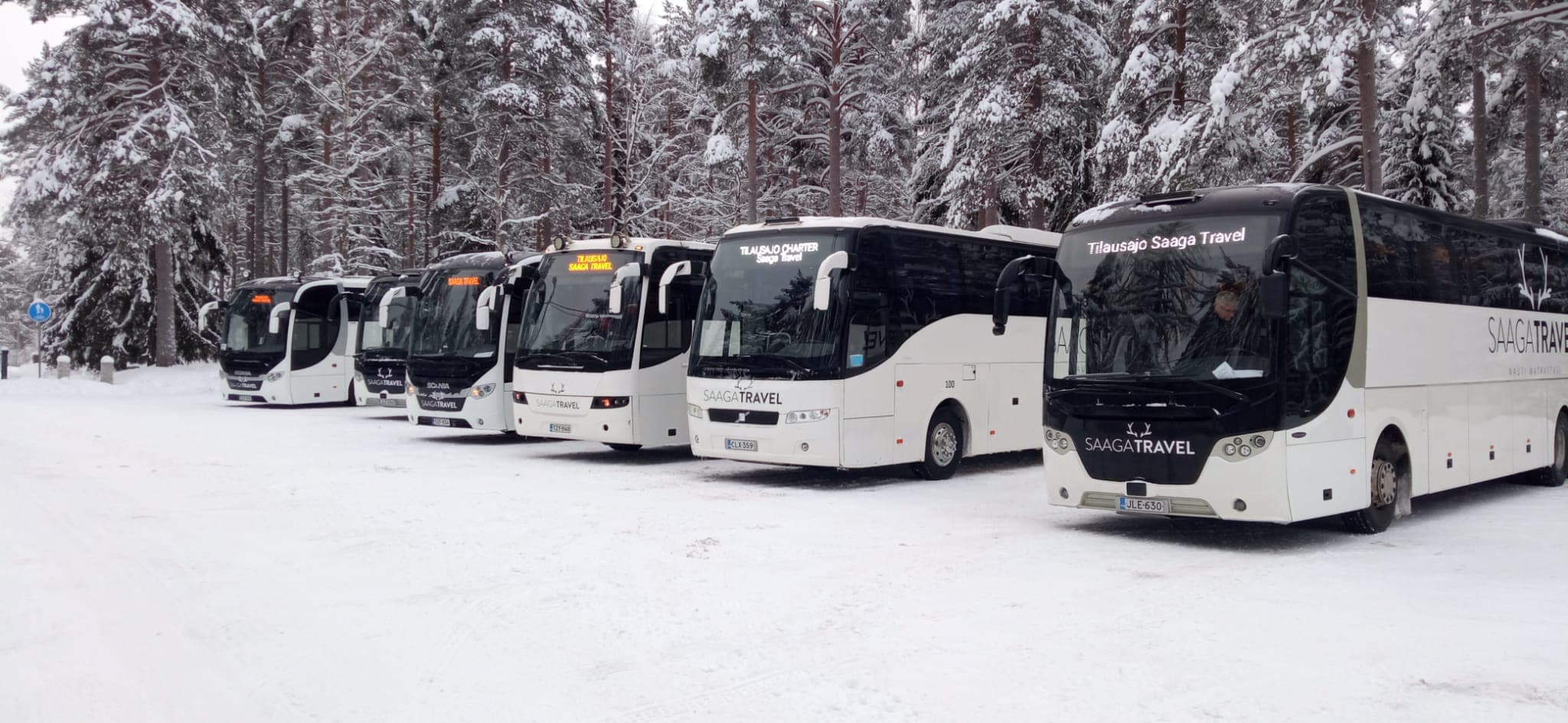 Une file d'autocars stationnés dans la neige en bordure d'une route forestière