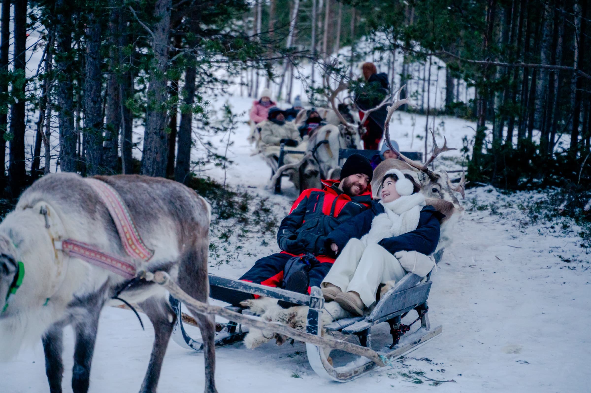 Gäste in einem Rentierschlitten in verschneitem Wald bei Tromsø